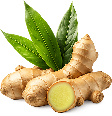 Ginger root