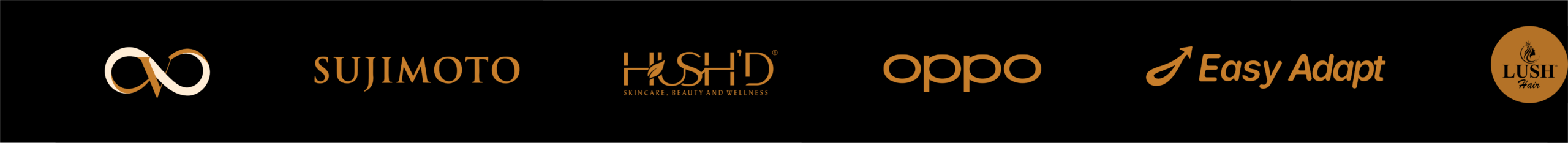 Client and brand logos, group three